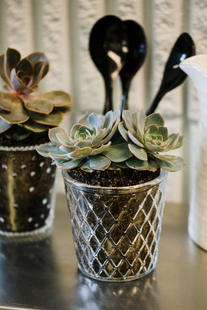 Richland Tipper Vase & Candle Holder Set of 24