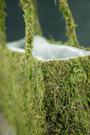 Natural Preserved Moss 12in Purse with Liner