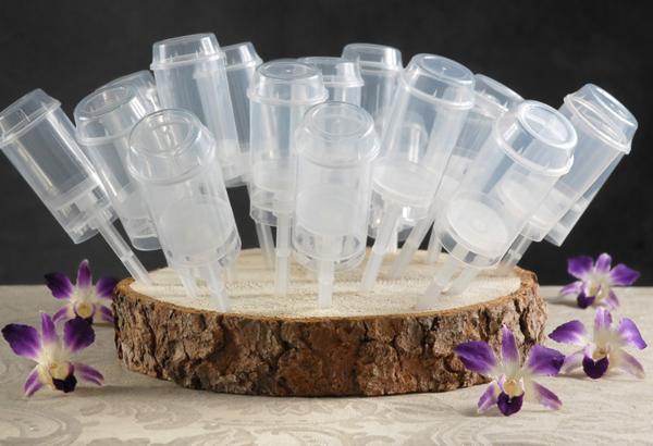 DIY How to Make a Tree Slice Push Up Pop Display