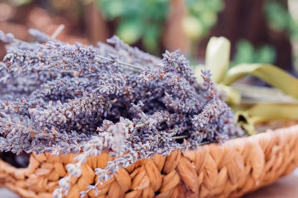 How to make Lavender Eye Pillows