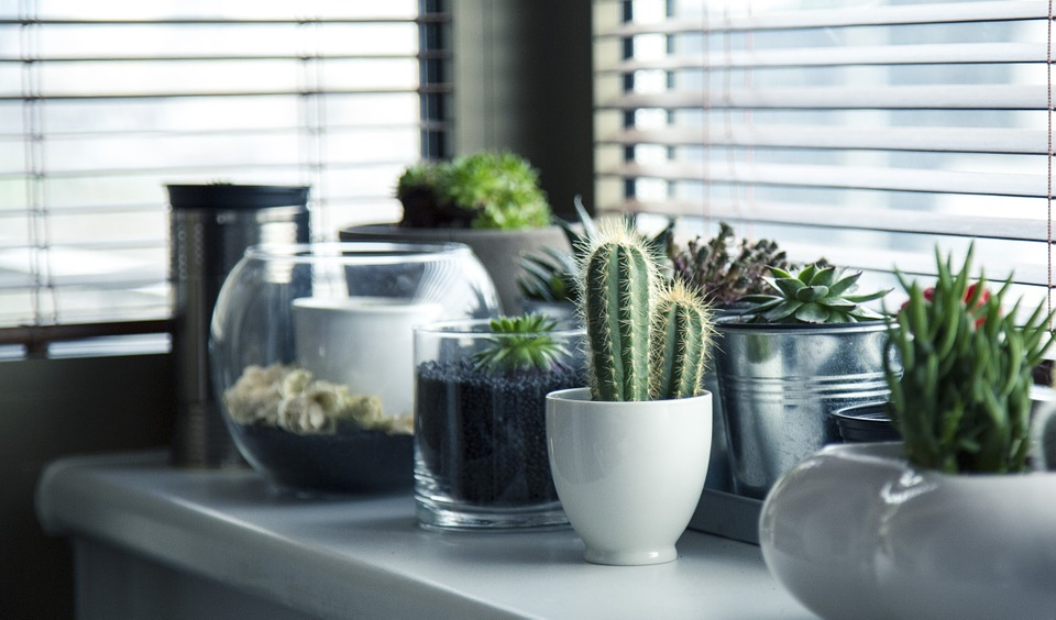 8 Creative Ways to Use Plants as Decor