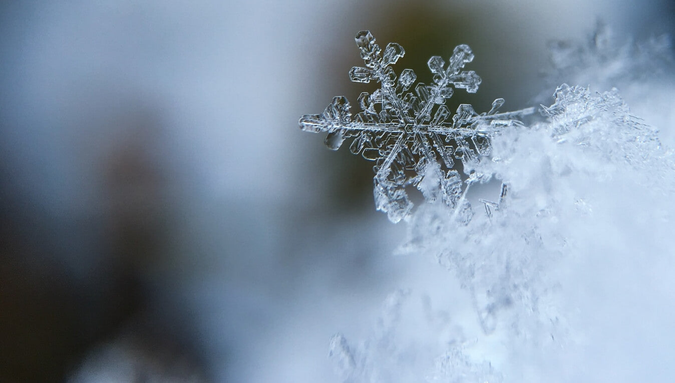 How to Prepare Your Venue for Snow
