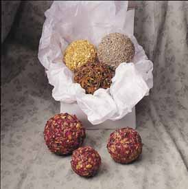 DIY Make Botanical Spheres
