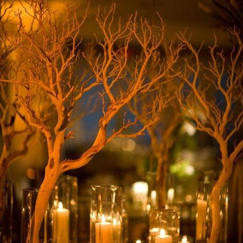 Branches