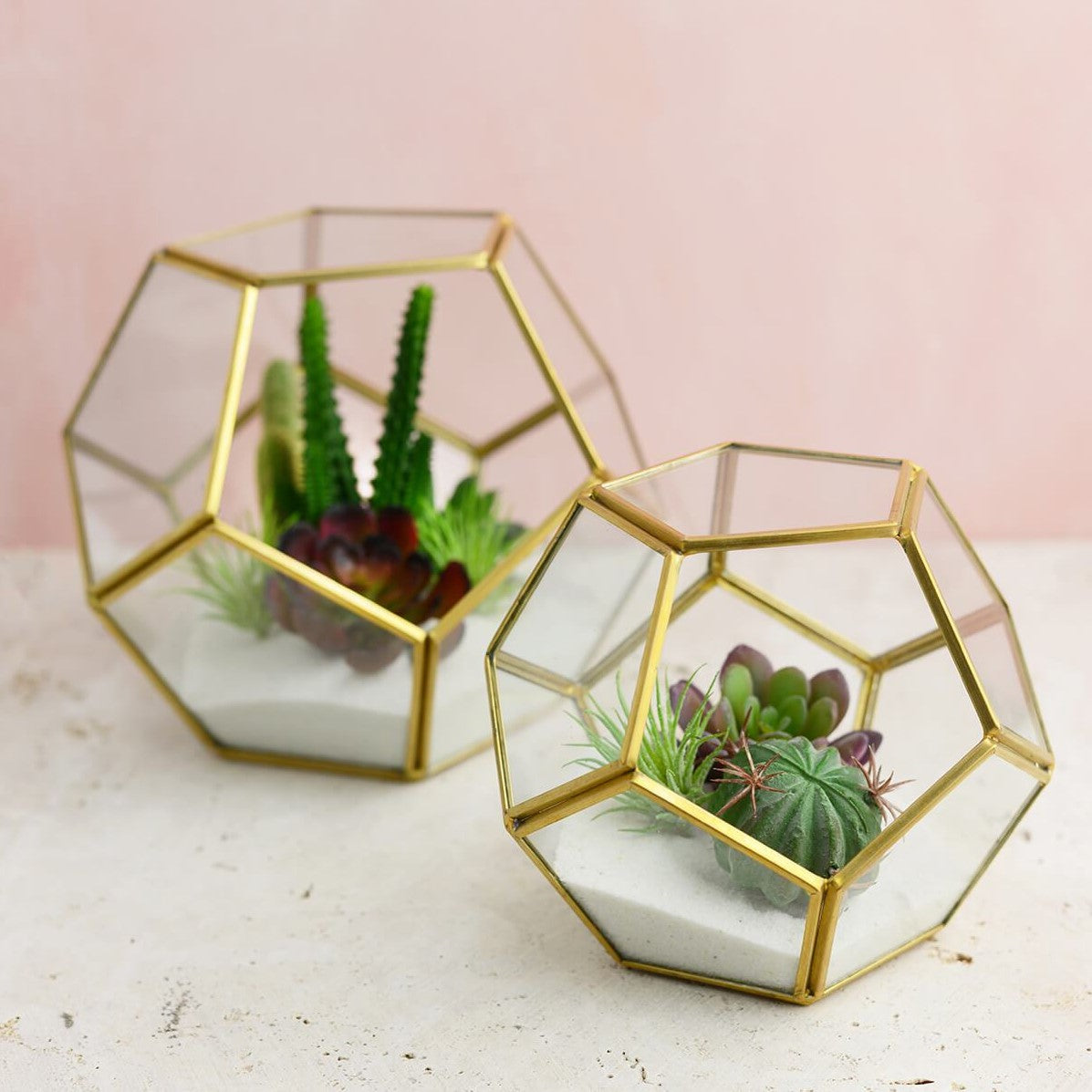 Terrarium