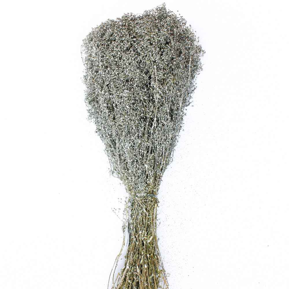 Silver Sparkle Preserved Baby's Breath 24in 4oz Bundle - view 1