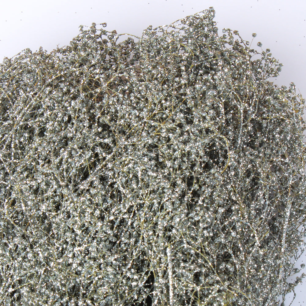Silver Sparkle Preserved Baby's Breath 24in 4oz Bundle