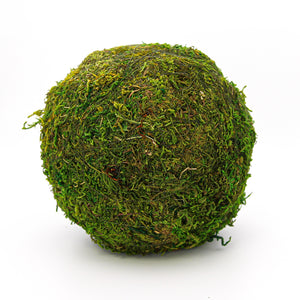 Moss Ball Natural 6