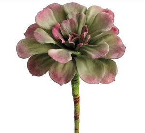 Mauve Aeonium Succulent Pick 7"