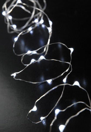 Fairy Lights Strand 60" Cool White with Timer, Battery-Operated