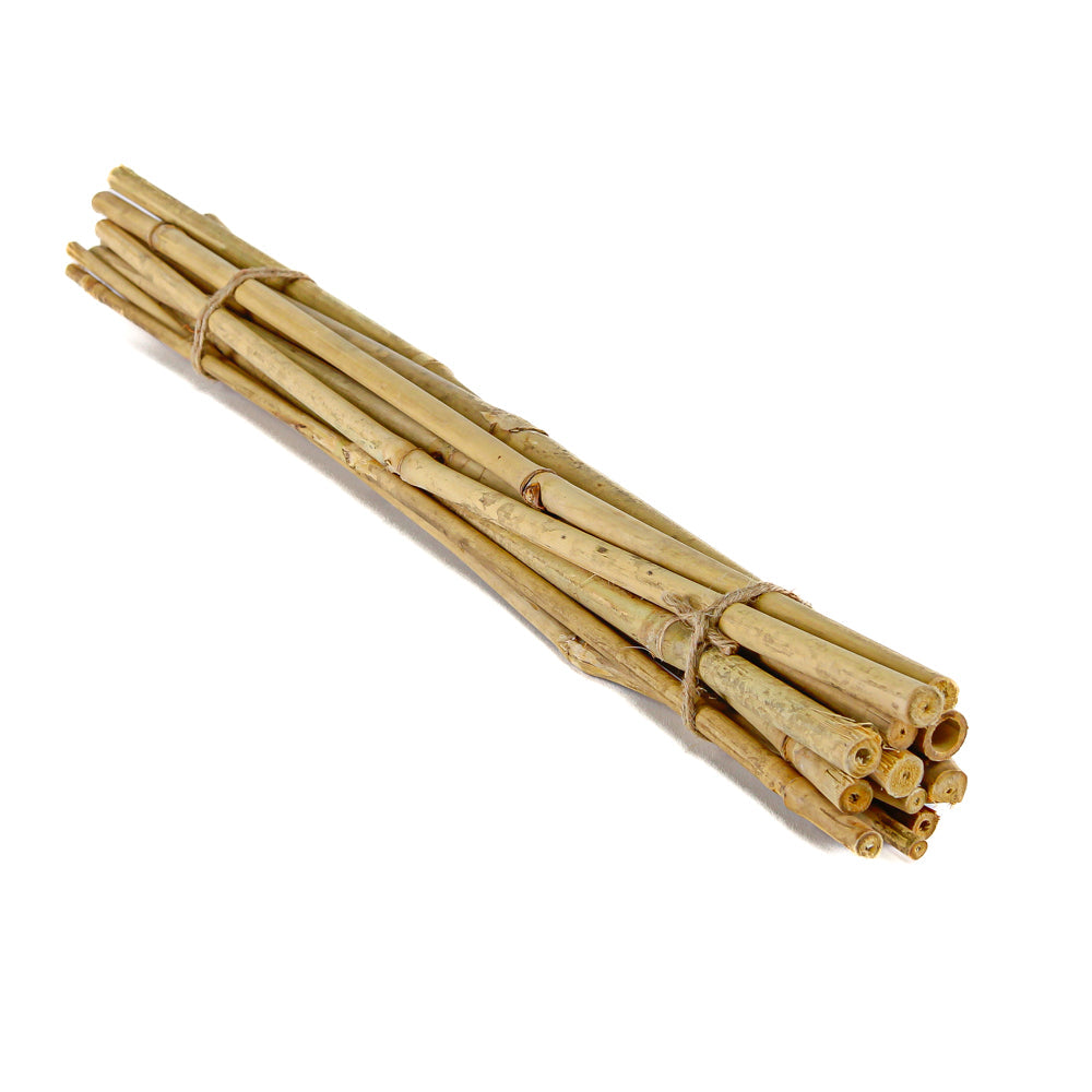 Bamboo Poles 24in Natural (bundle of 12) - view 1
