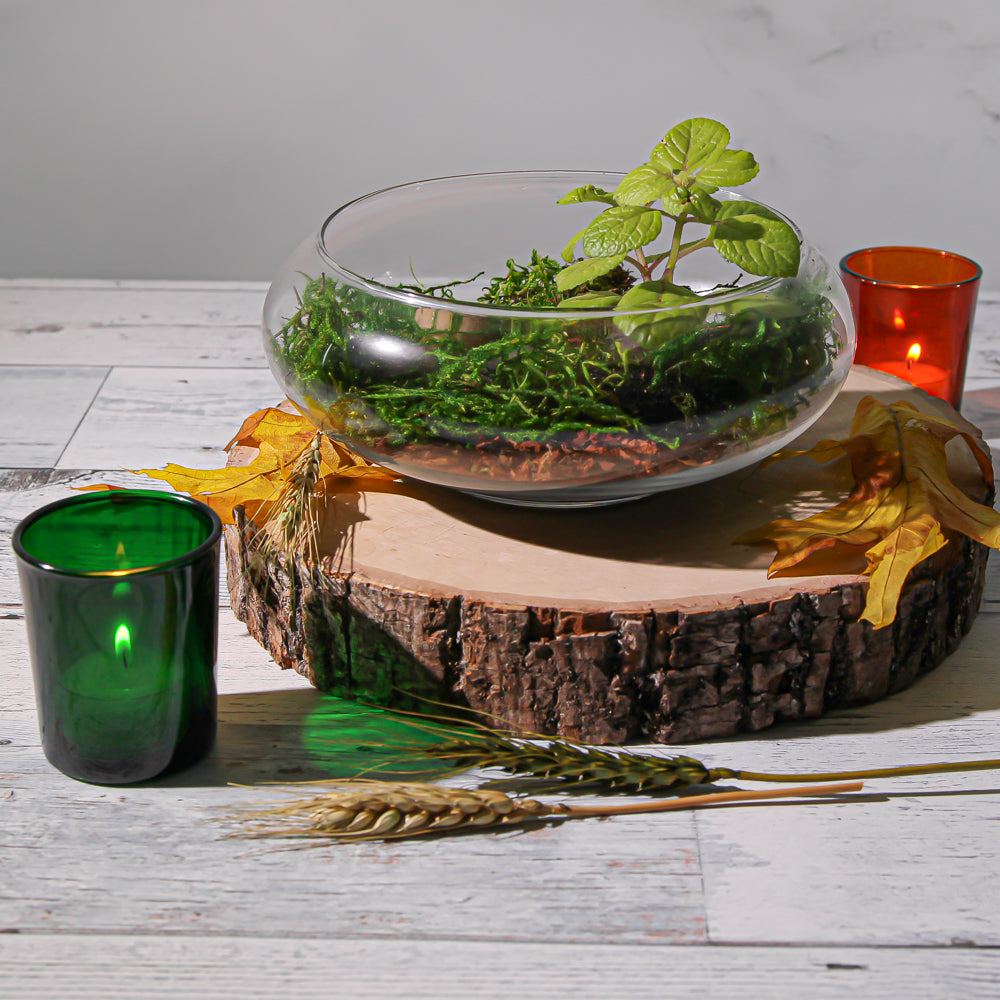 Eastland Votive Holder Green Set of 12 - view 2