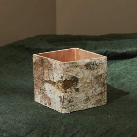 Birch Bark Square Pot with Liner 5in