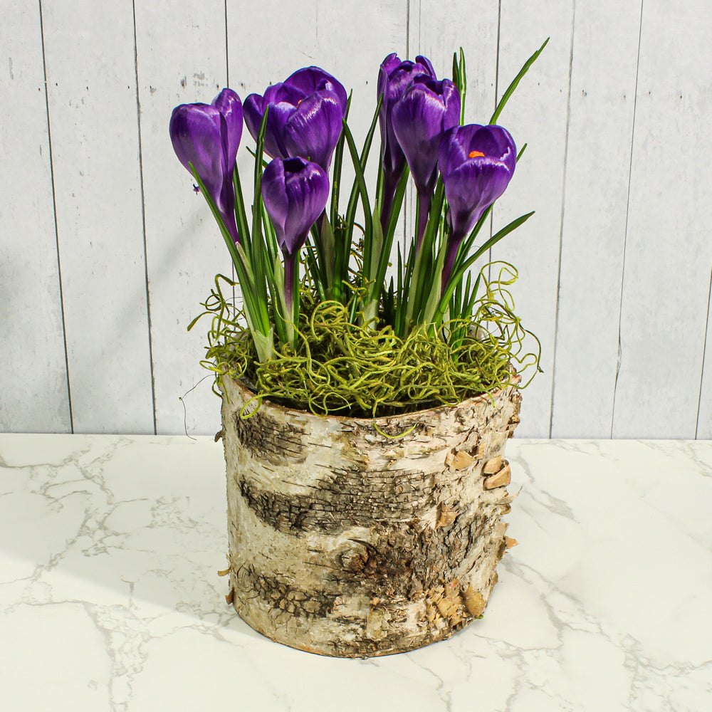 birch bark planter 4 75 pot w plastic liner - view 2