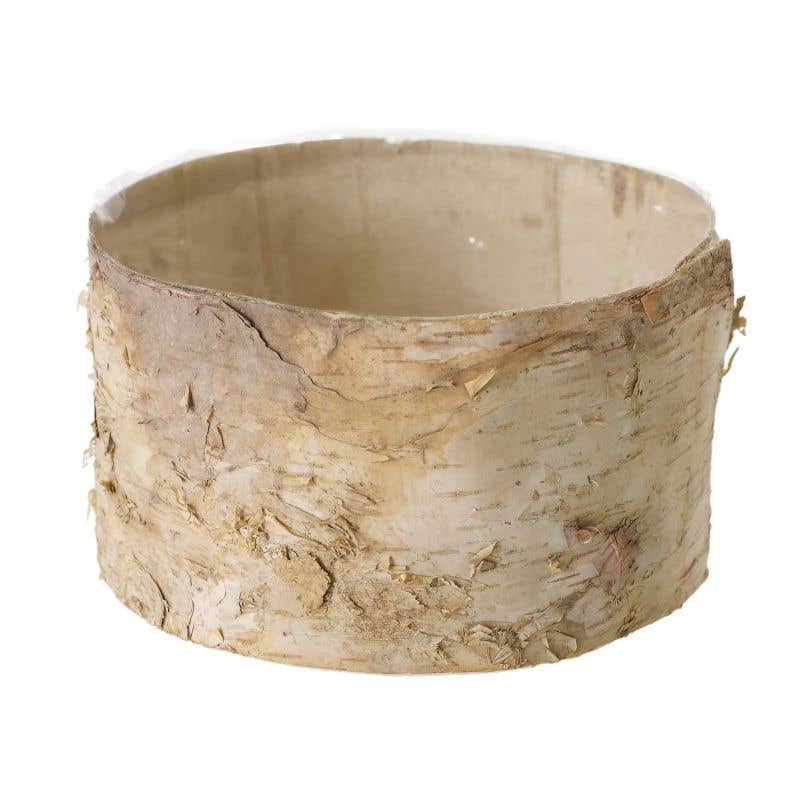 Birch Bark Planter Pot 6.5x3.5 w/Liner - view 1