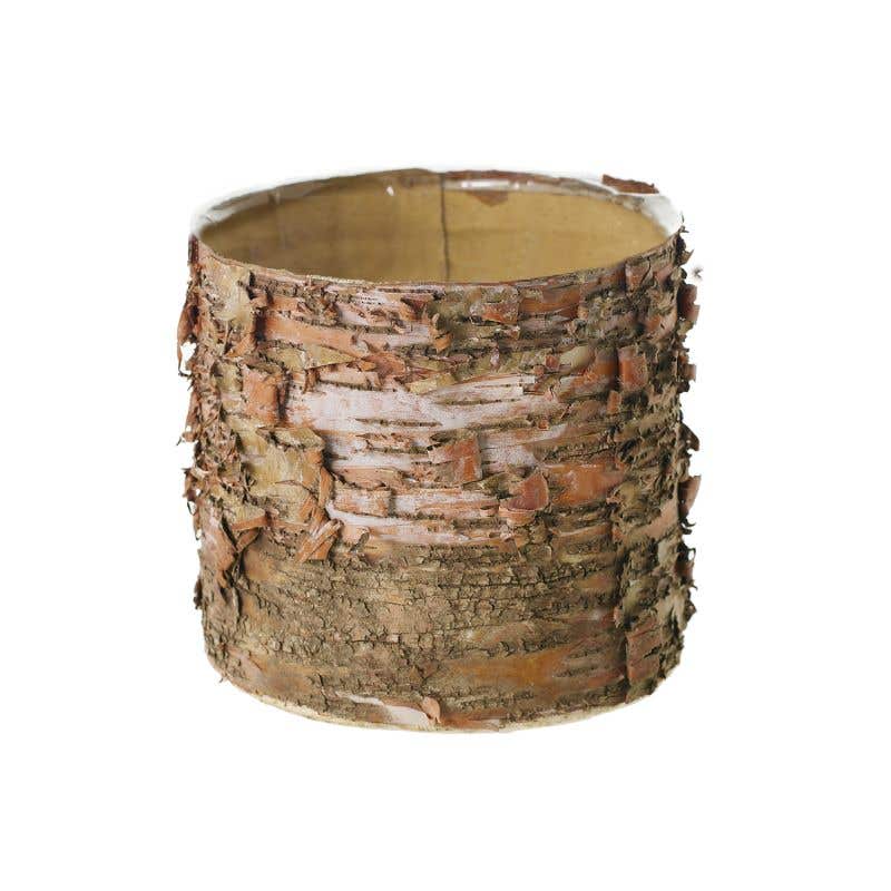 birch planter pot Birch Bark Planter Pot 6x5.25 w/Liner