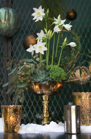 Desiray Glass Compote 9.5" Gold