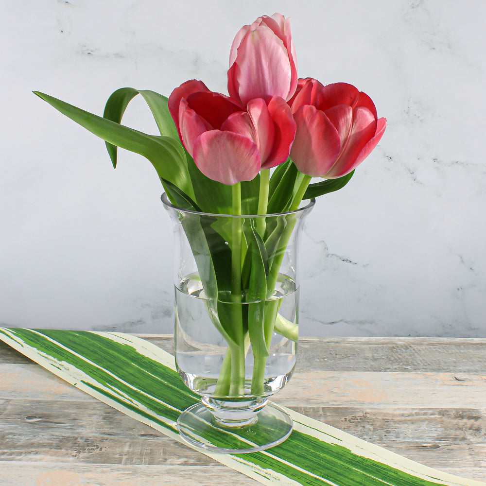 8in hurricane vase candle holder