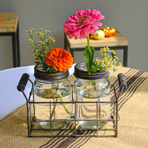 Wire Basket with 2 Glass Mason Jars with Frog Lids