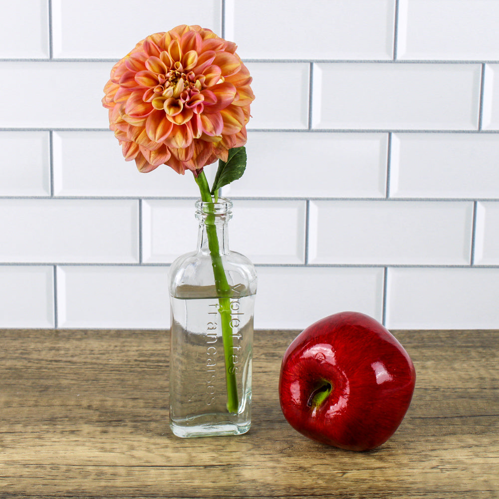 richland effie bud vase set of 12