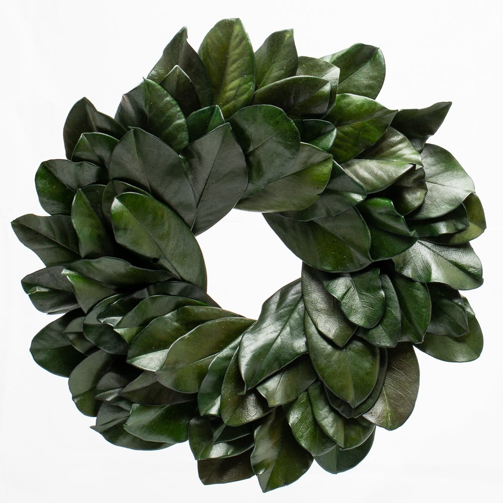 Richland Preserved Magnolia Wreath 17" Set of 6 - view 1