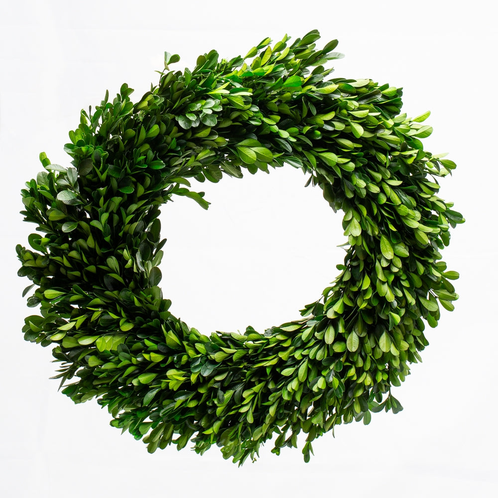 richland preserved boxwood wreath 17