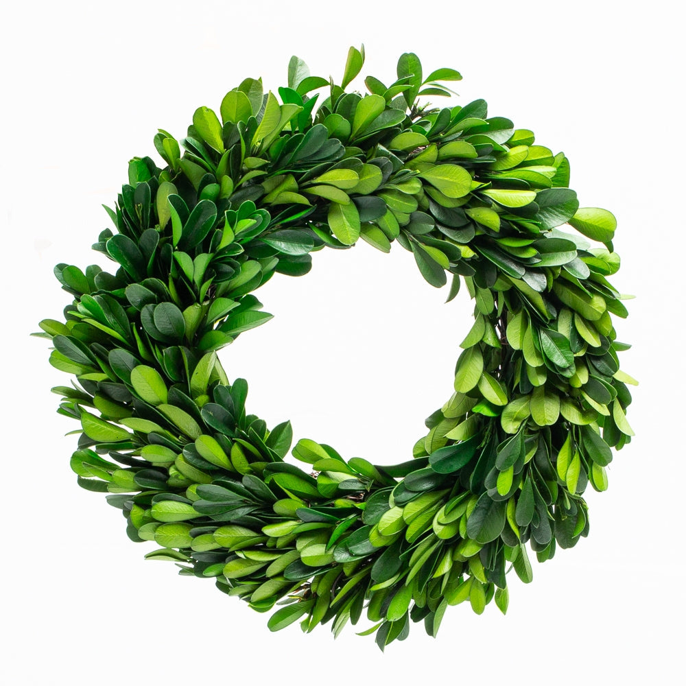 richland preserved boxwood wreath 8 - view 1