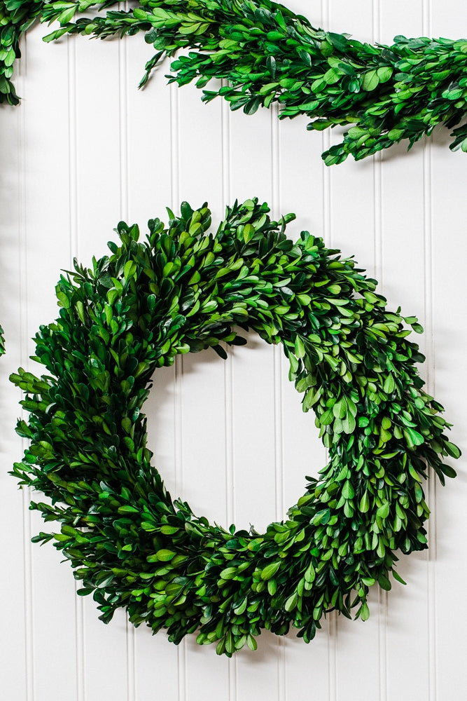 Richland Preserved Boxwood Wreath 17” - view 2