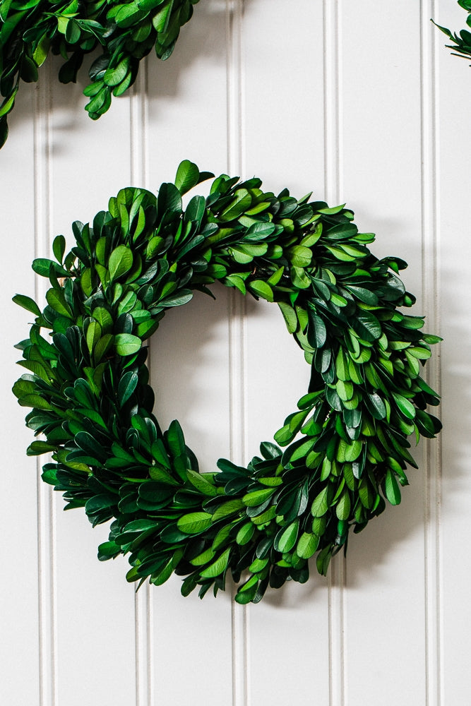richland preserved boxwood wreath 8 set of 12 - view 5