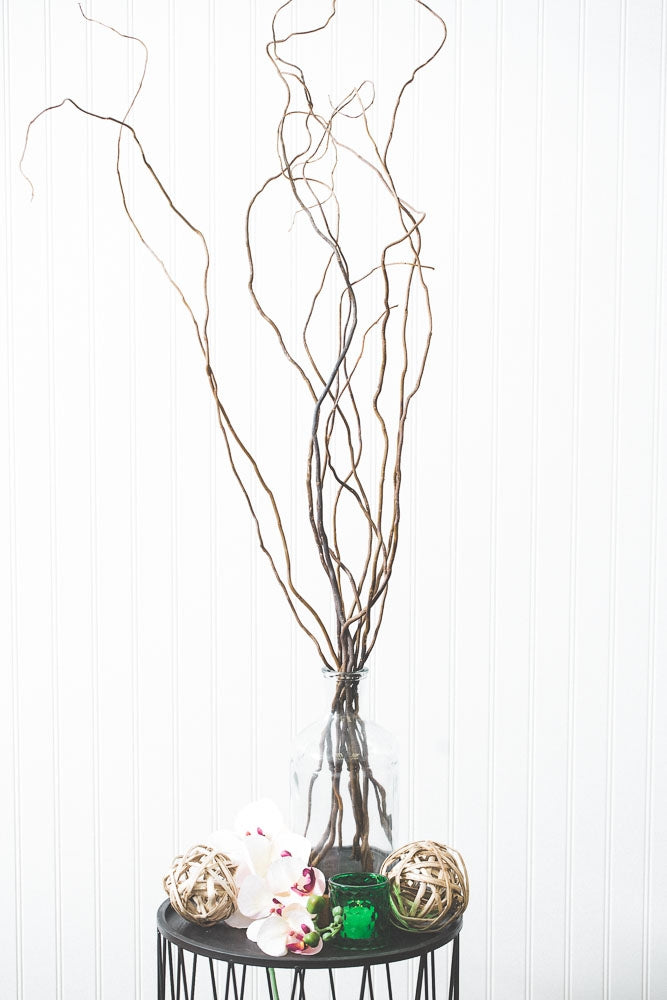 Curly Willow Tree Branch Bundle, 3-4 Feet - view 1