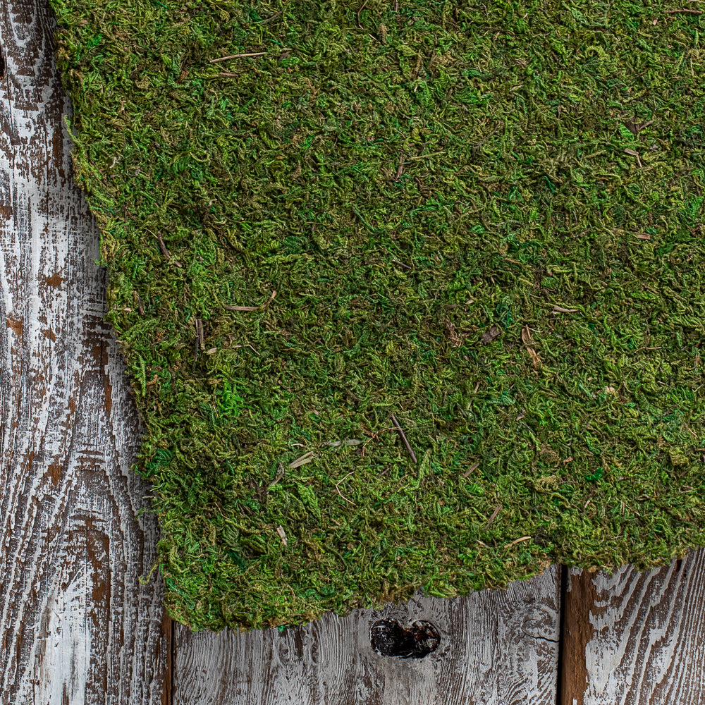 Preserved Natural Moss 14 x 48" Roll