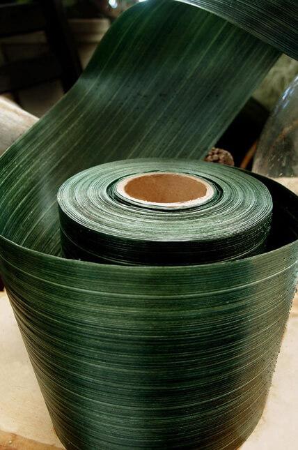 variegated aspidistra ti leaf floral ribbon 4in x 50 yards - view 1