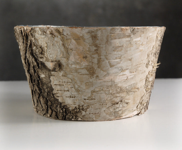 natural birch bark zinc pot planter 6x3