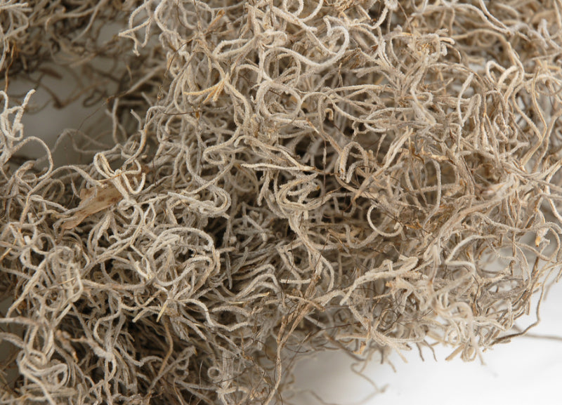 Spanish Moss Natural 125 cubic inches - view 2
