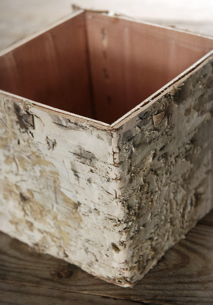 Birch Bark Square Pot with Liner 5in - view 1