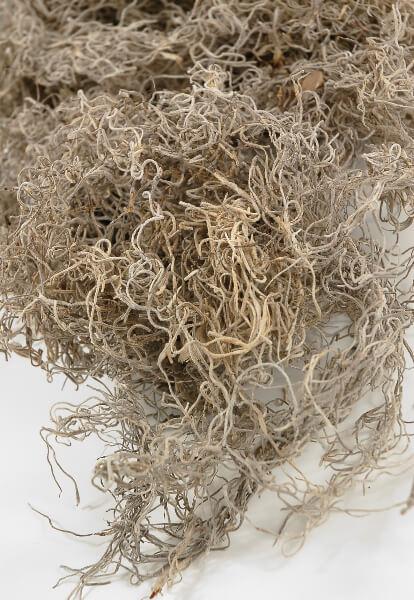 spanish moss natural 125 cubic inches - view 1