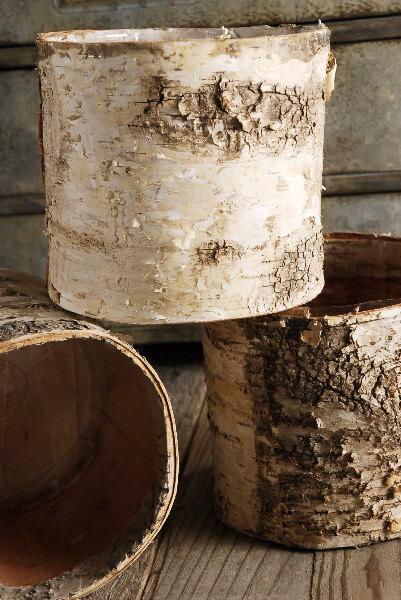 bark planter pot Birch Bark Planter Pot 6x5.25 w/Liner