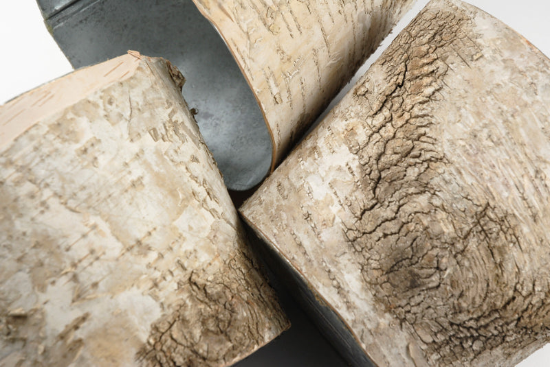 Birch Bark Centerpiece Vase 7in, Zinc Planter - view 4