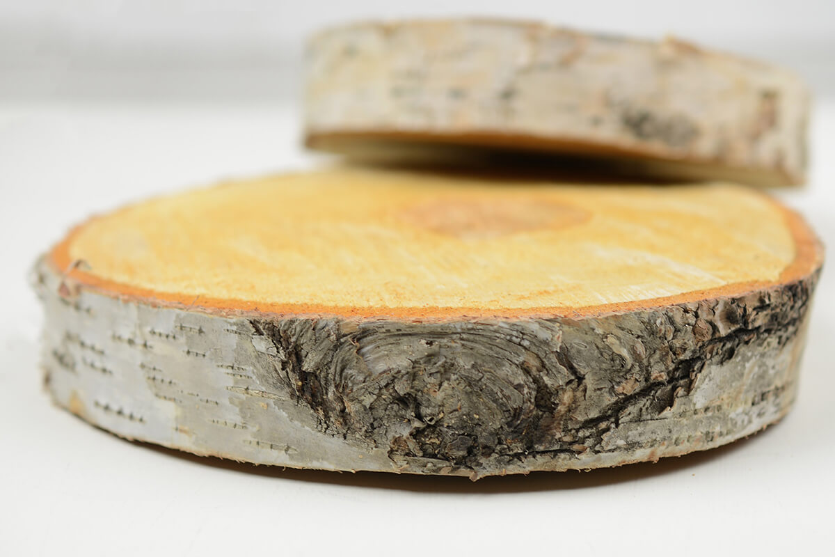 Birch Slab Round 8" x 1" thick - view 2