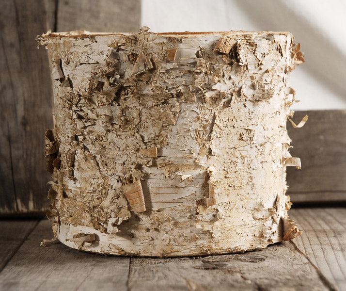 birch bark planter w plastic liner 7x6