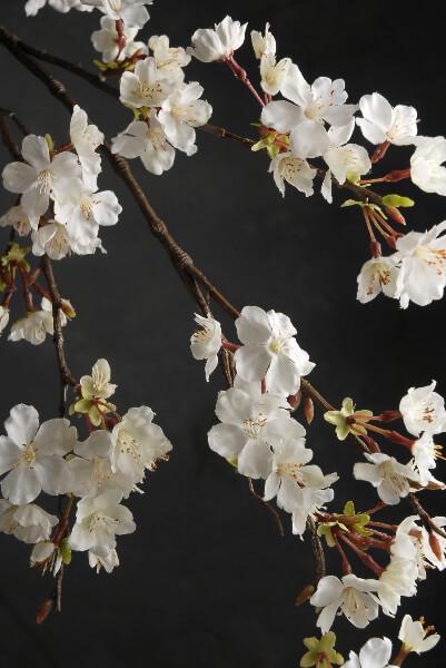 cherry blossom branch 42in white flowers