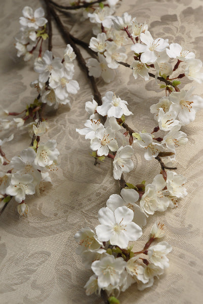 Cherry Blossom Branch White Flowers 42