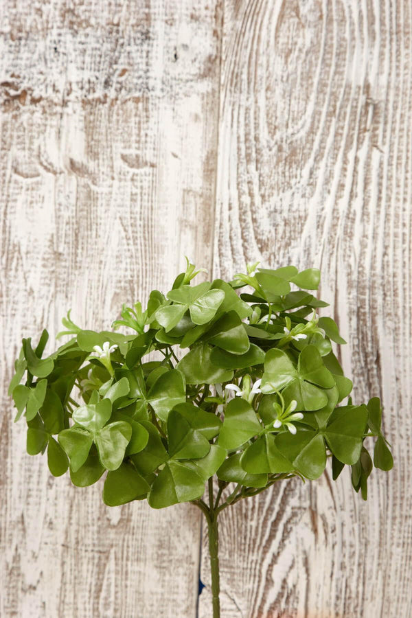 clover-bush-9-1_600x.jpg?v=