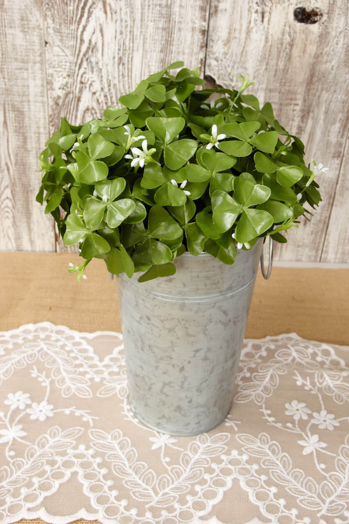 Clover Bush 9in - view 2