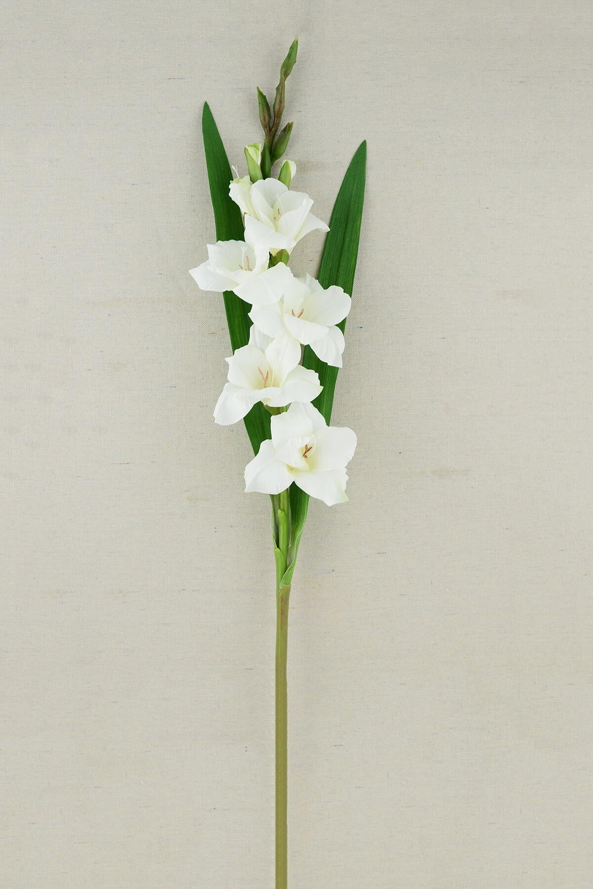 gladiolus flower cream 33in - view 2