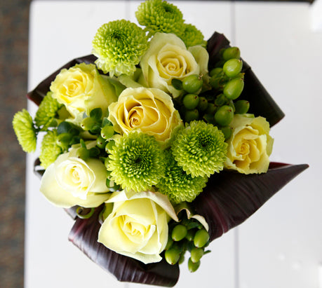 6 green pompom mums