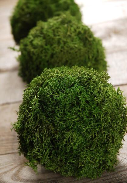 green reindeer moss 4 balls set of 3 - view 1
