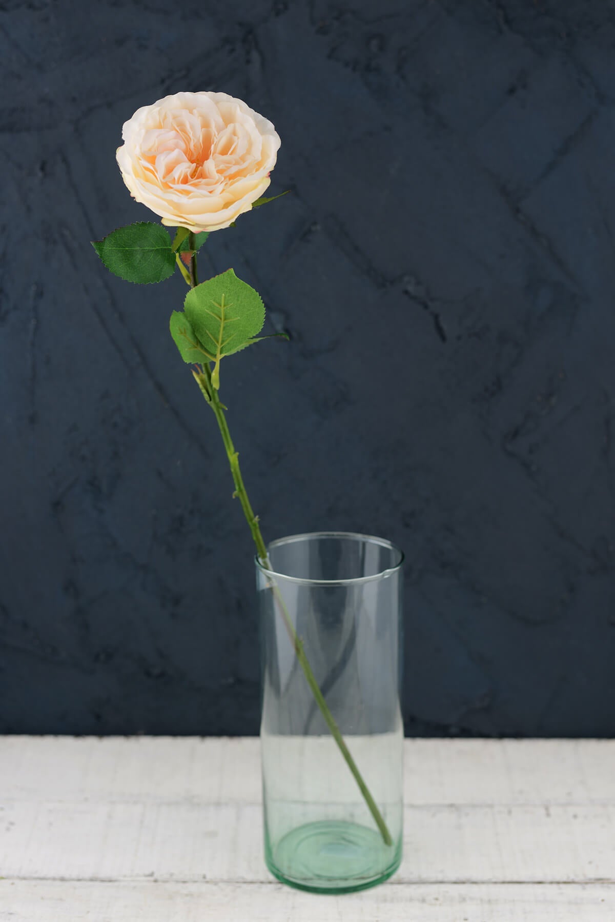 12 Long Stem Peach Roses