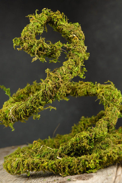 Preserved Moss Vine 6ft