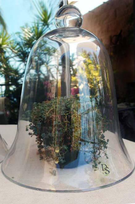 thick glass bell jar 11 1 2 - view 2